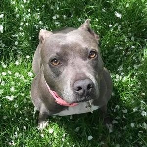 Meet your Posher, Zak